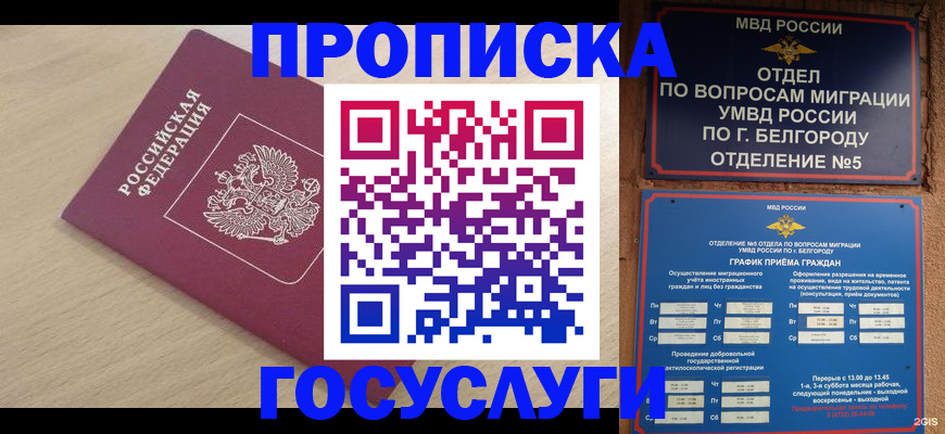 прописка законно в Геленджике